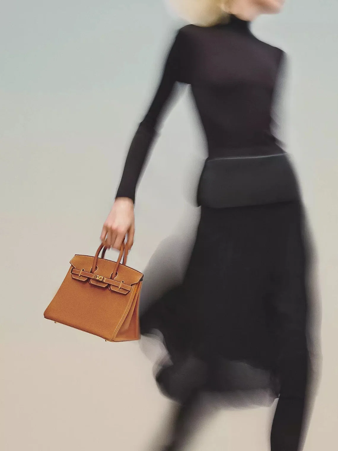 Hermes Birkin Bag