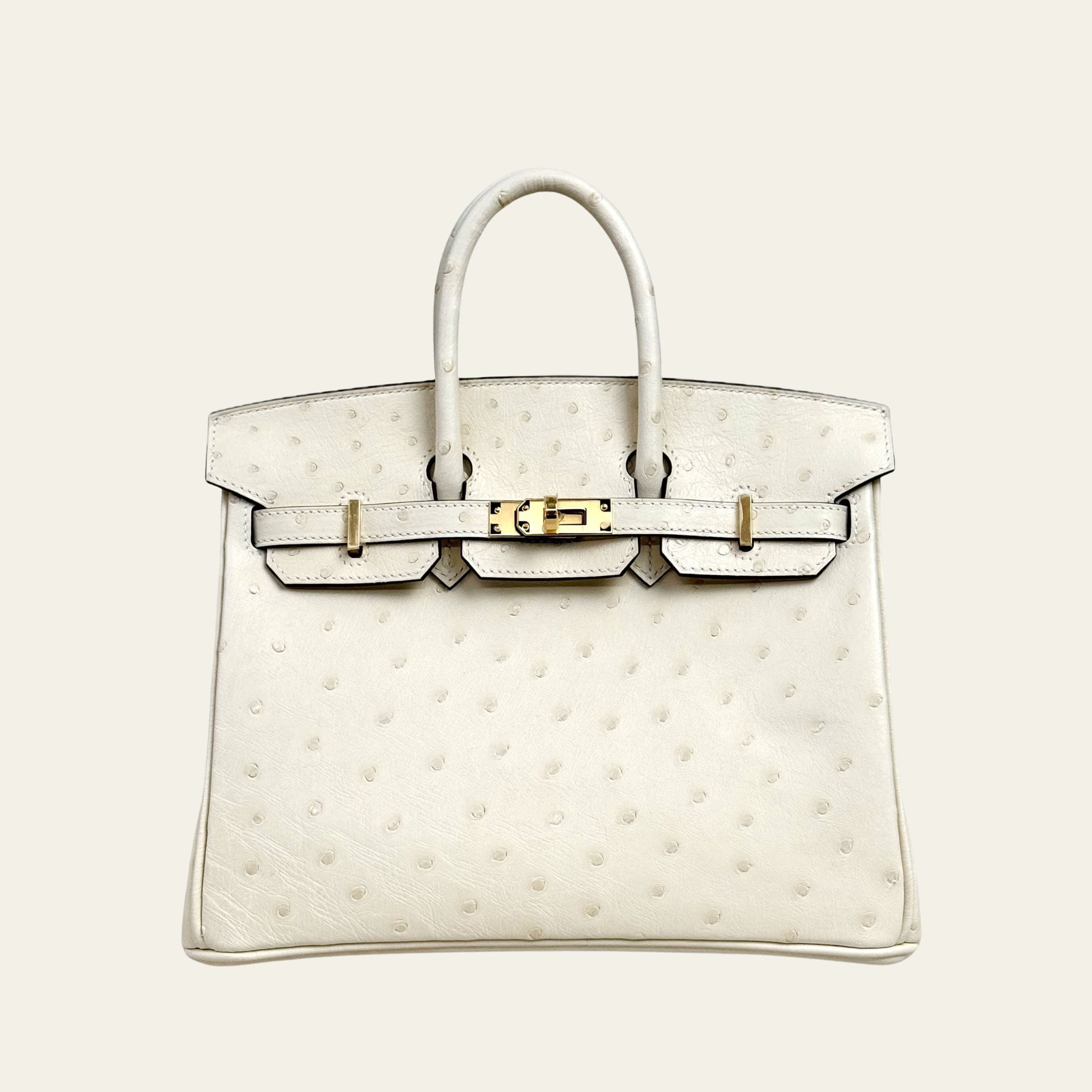 Hermès Nata Birkin 25 Ostrich Gold Hardware